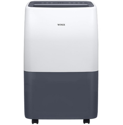 위닉스 뽀송 제습기 10L DXTE100-KWK