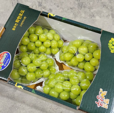 프리미엄 샤인머스켓 고당도 망고포도 선물세트, 샤인머스켓 2kg ..., 1박스